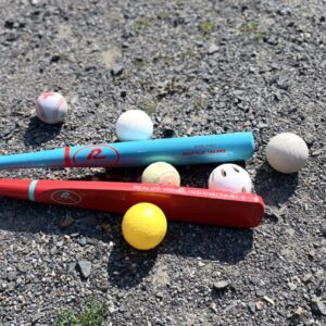 Custom Training Bats